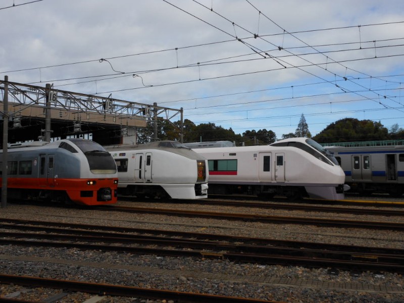 勝田車両センター50周年ふれあいまつり　こっちは歴代常磐昼行特急そろい　撮影日１１／１１／１２